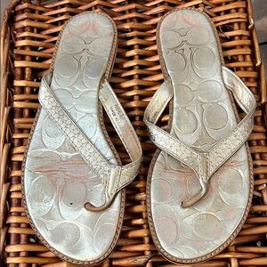 Coach Metallic Gold Flip Flops